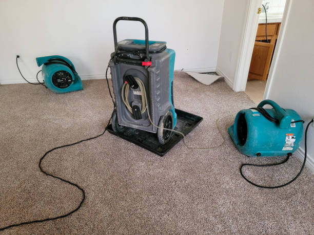 Best Flooded house restoration  in Warren, IN