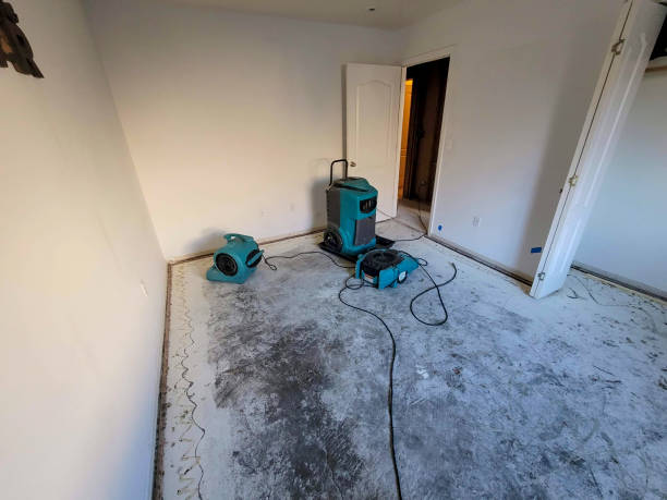 Best Emergency water damage restoration  in Warren, IN