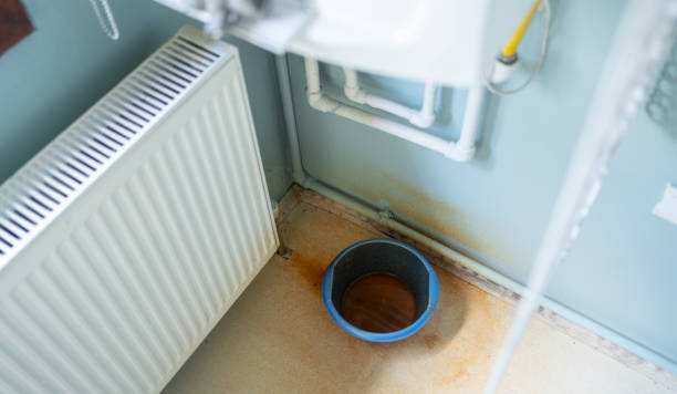 Best Basement water damage restoration  in Warren, IN
