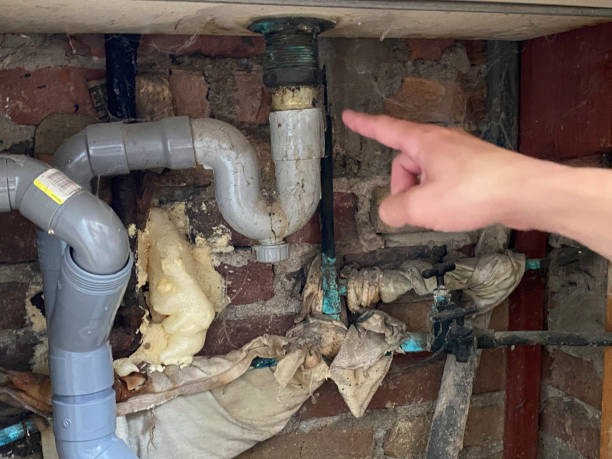 Best 24/7 water damage repair  in Warren, IN