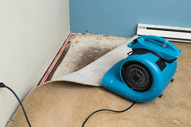 Professional Water damage restoration in Warren, IN